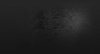 logo_blank.jpg