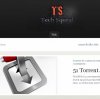 TS-logo_Final-a1.jpg