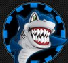fav-icon-shark.jpg