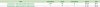 Google Chrome.jpg
