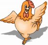dancing chicken.jpg