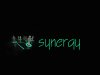 Synergy.jpg