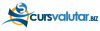 cursvalutar.png