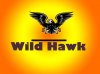 wild hawk 2.jpg