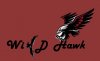 wild hawk 3.jpg