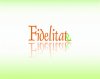 Fidelitate Logo.jpg