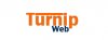 turnipweb.jpg