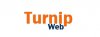 turnipweb2.jpg