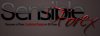 sensibleforex.jpg