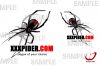 xxxpider.jpg