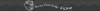 topbg.jpg