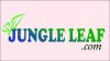 jungle.jpg
