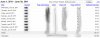 adsense-June.jpg