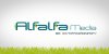 alfalfa media.jpg
