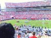 IMAGE_00005.jpg