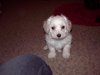 picture 018.jpg