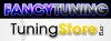 FancyTuning-1 copy.jpg
