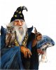 stan-the-wizard-and-the-magic-mushrooms-ii-j-w-baker.jpg