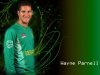 Wayne Parnell_34449.jpg
