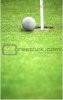 golf.jpg