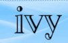 ivy.jpg
