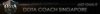 DOTA.jpg