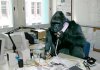 monkey2.JPG