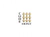 cubehost.jpg