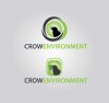 crow envi2.jpg