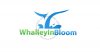 whalleyinbloom.jpg