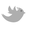 bird.png