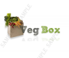 vegbox3.png
