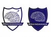 braindamage.jpg