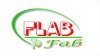 flab.jpg
