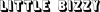 bizzy1.png
