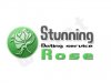 stunning rose5.jpg