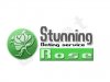 stunning rose6.jpg