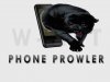 panther.jpg