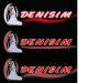 denisimlogo.jpg