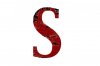 S logo.jpg