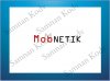 mobnetik.jpg