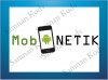 mobnetik 1.jpg
