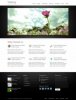 02_Homepage.jpg