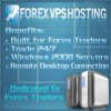 forexhosting.jpg