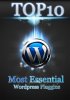 wordpress.jpg