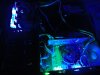 DSC01565.jpg