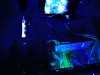 DSC01567.jpg
