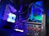 DSC01575.jpg