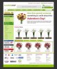 flowerShop2.jpg