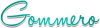 logo2.png